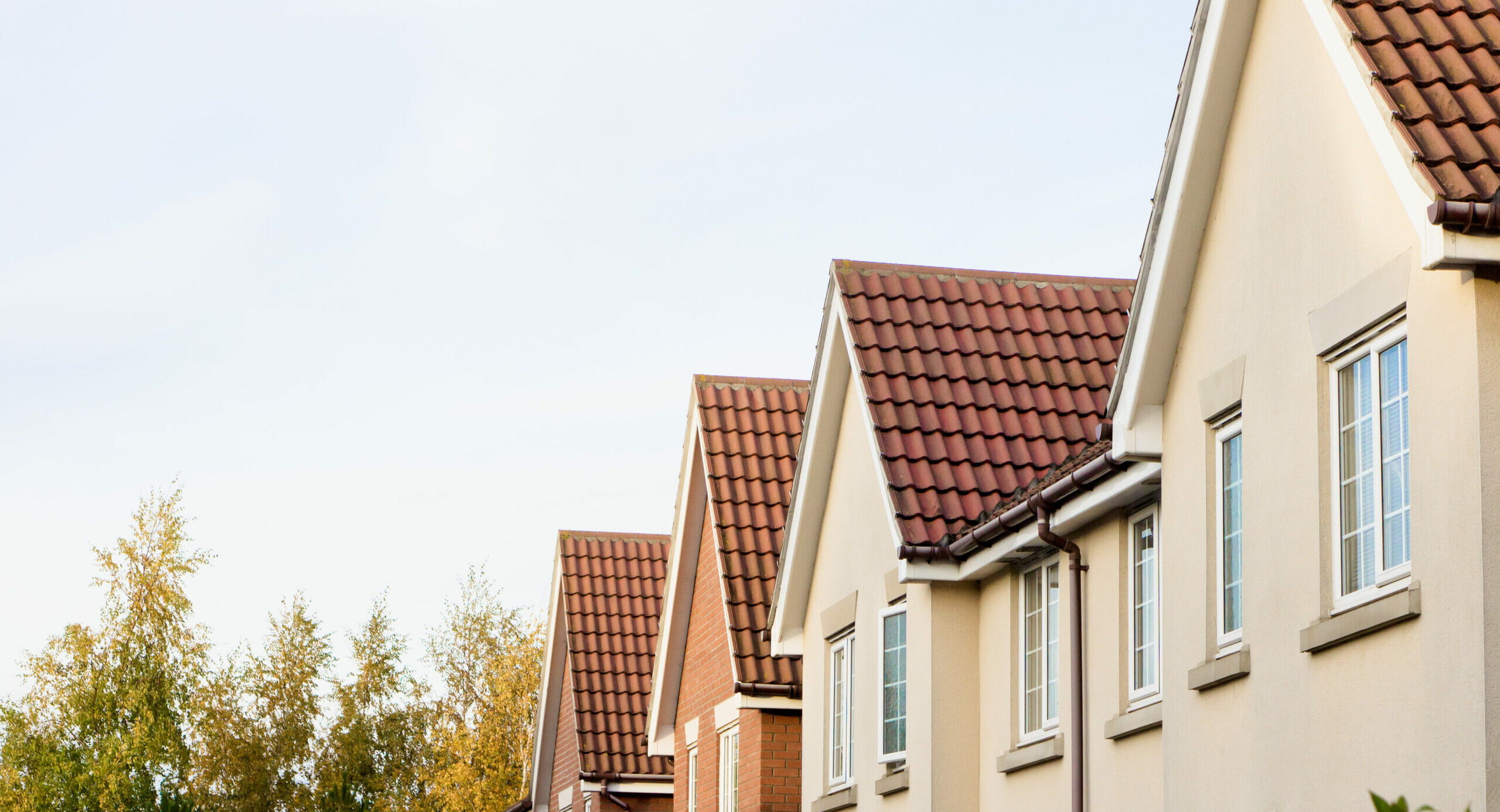 Property misrepresentation disputes A complete guide Willans