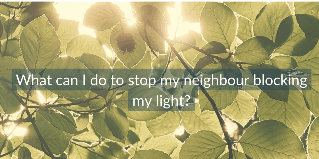 what can I do to stop my neighbour blocking my light?