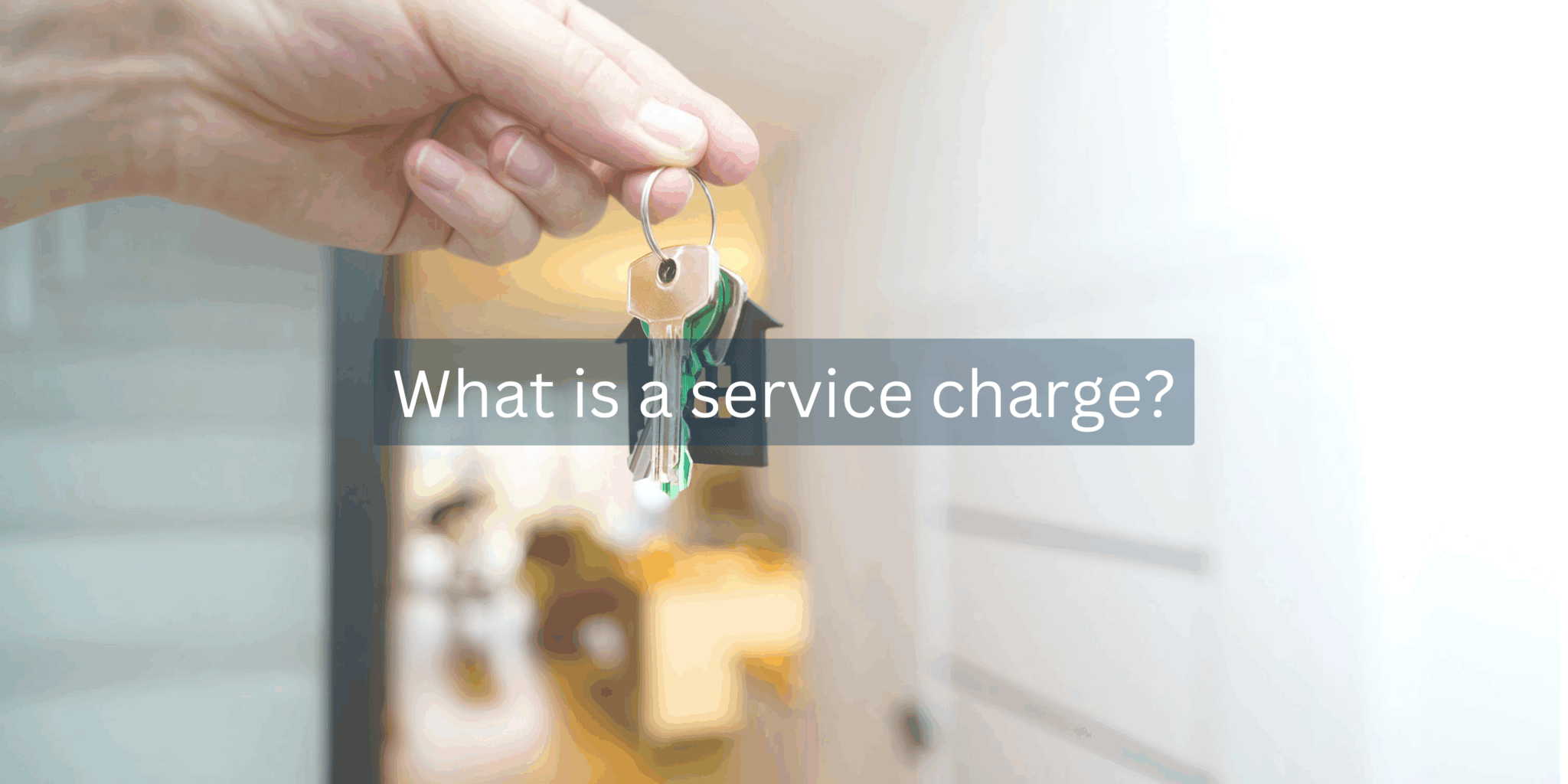 Service Charge Process Service charge disputes | A complete guide - Willans